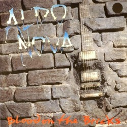 Пластинка Aldo Nova Blood on the Bricks